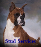 Stud Services Link