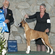 Crystal Angeles Grp1 2012 4x6