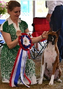 Elle BISS
