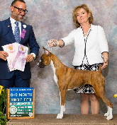 Elle FRB6-9 pup