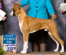 Max RBJ 12-18mo ABC National 2012