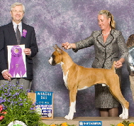Max WD ABC National 2012