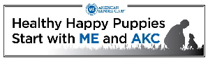 new akc logo