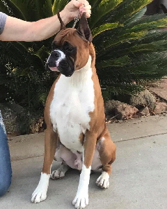 Freddie Head 4-1yr9mo crop