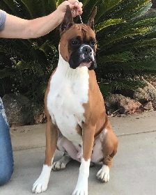 Freddie Head 1-1yr9mo crop