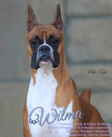 Wilma Headshot