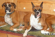 Kadie & Kelli