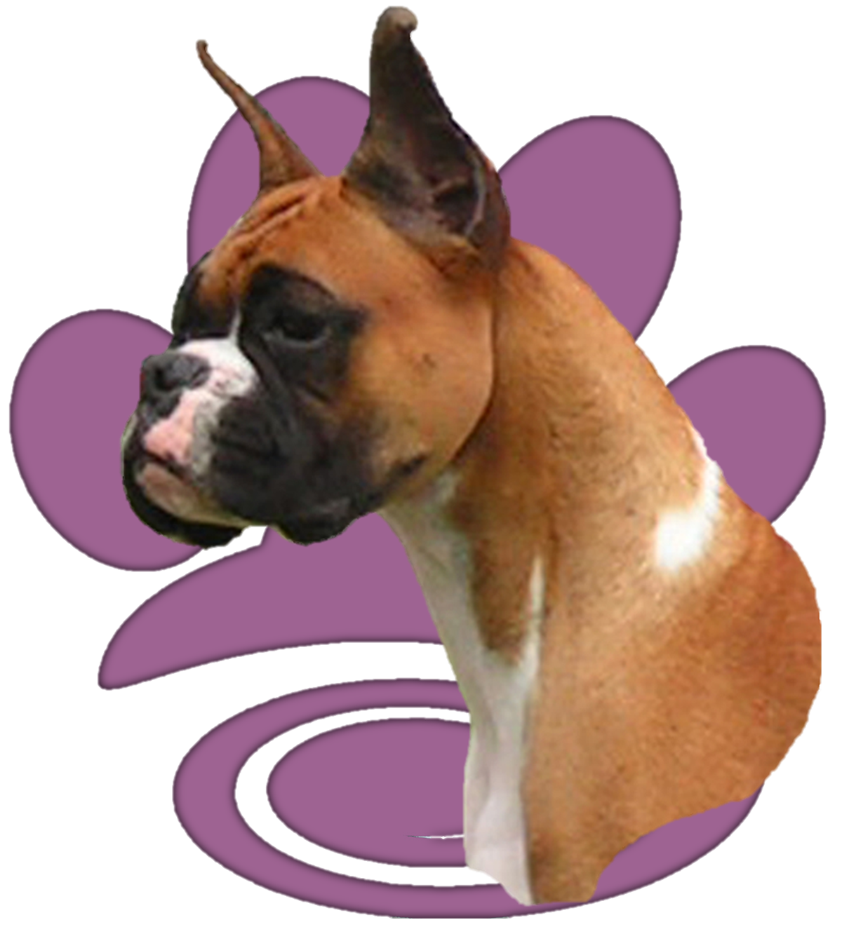 logo no cinnibon text